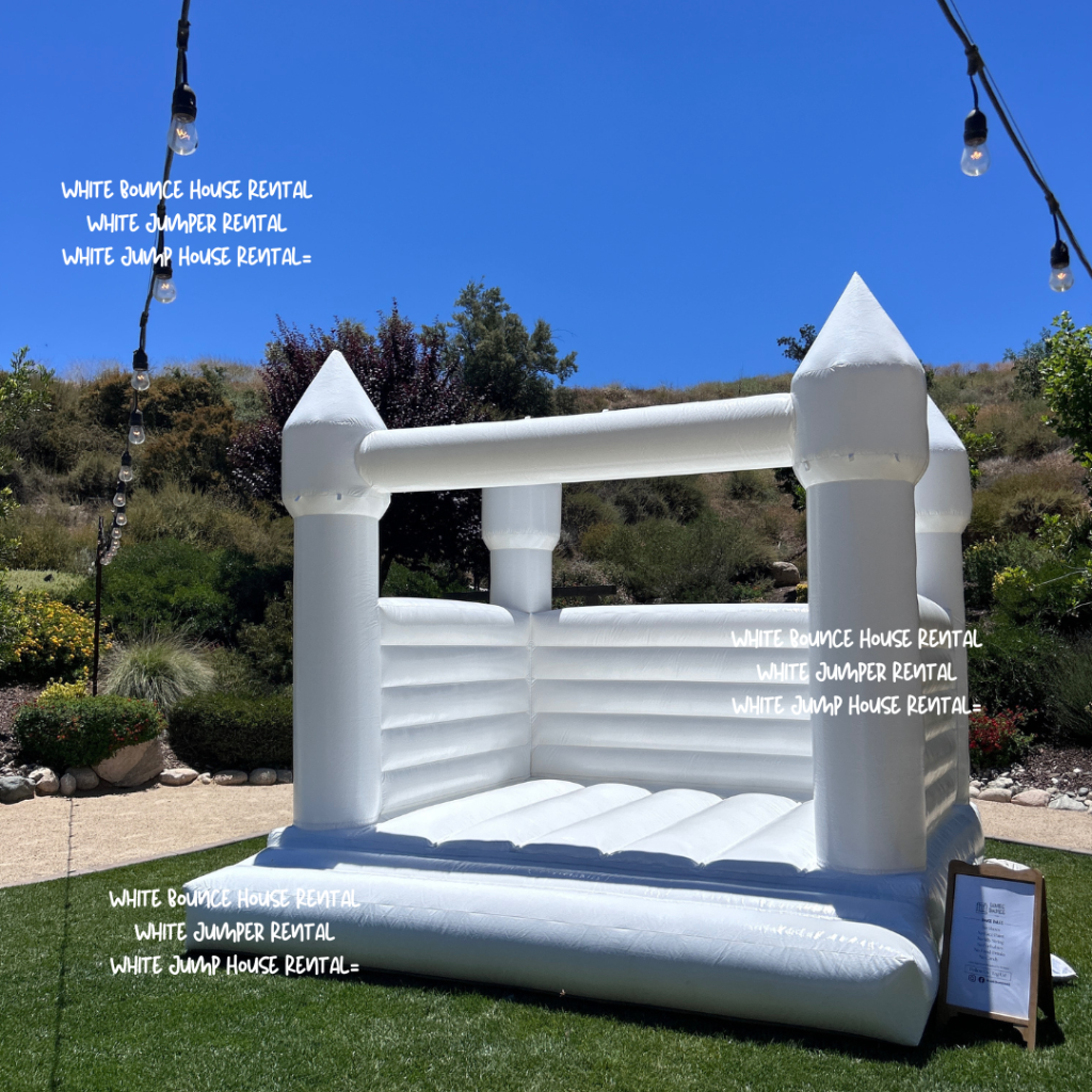 White Bounce House Rental White Jumper Rental White Jump House Rental Luvies bounce house (13x13)