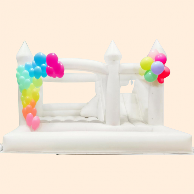 Luvies Big Slide n Ball Pit (15x15)