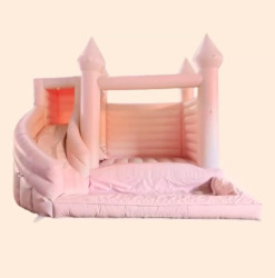 Luvies Luxe Pink Slide (16x12)