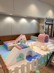 IMG 5896 1768246890 Luvies Pastel Softplay