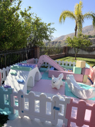 IMG 8859 1786224133 Luvies Pastel Softplay